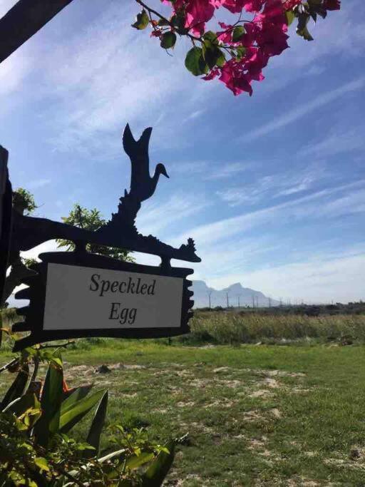 The Speckled Egg, 4 Promenade Rd, Lakeside, 开普敦 外观 照片